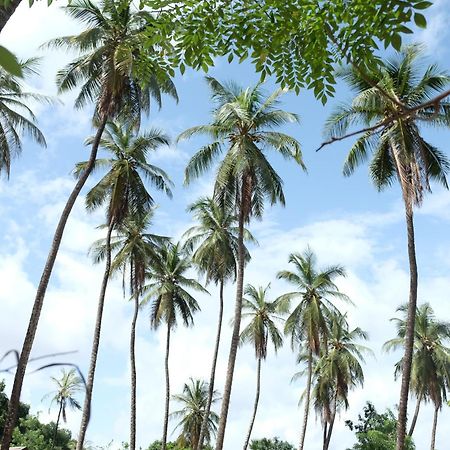 Гостевой дом Centre Touristique Et Culturel Casamance Diakene Ouolof Экстерьер фото