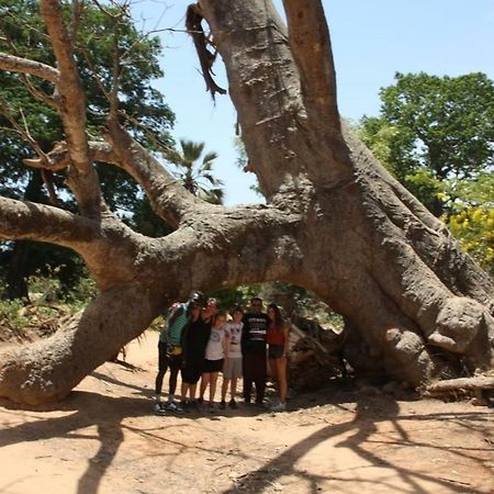 Гостевой дом Centre Touristique Et Culturel Casamance Diakene Ouolof Экстерьер фото