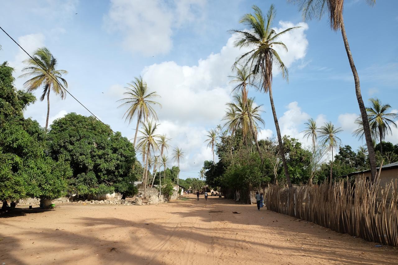 Гостевой дом Centre Touristique Et Culturel Casamance Diakene Ouolof Экстерьер фото
