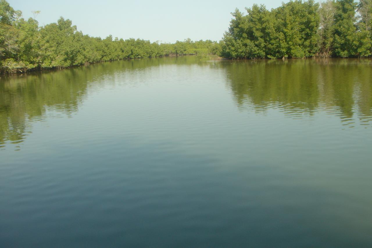 Гостевой дом Centre Touristique Et Culturel Casamance Diakene Ouolof Экстерьер фото