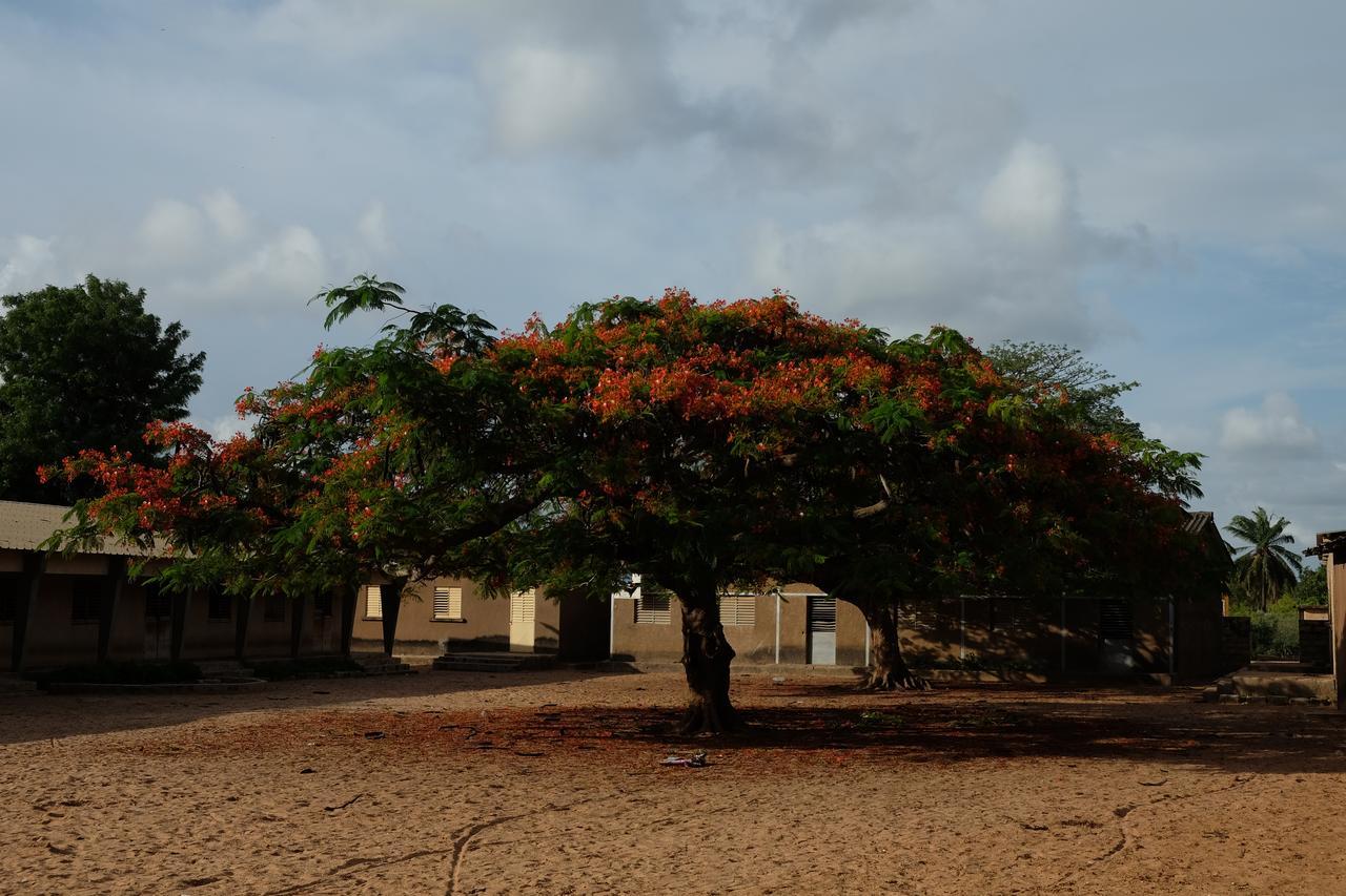 Гостевой дом Centre Touristique Et Culturel Casamance Diakene Ouolof Экстерьер фото
