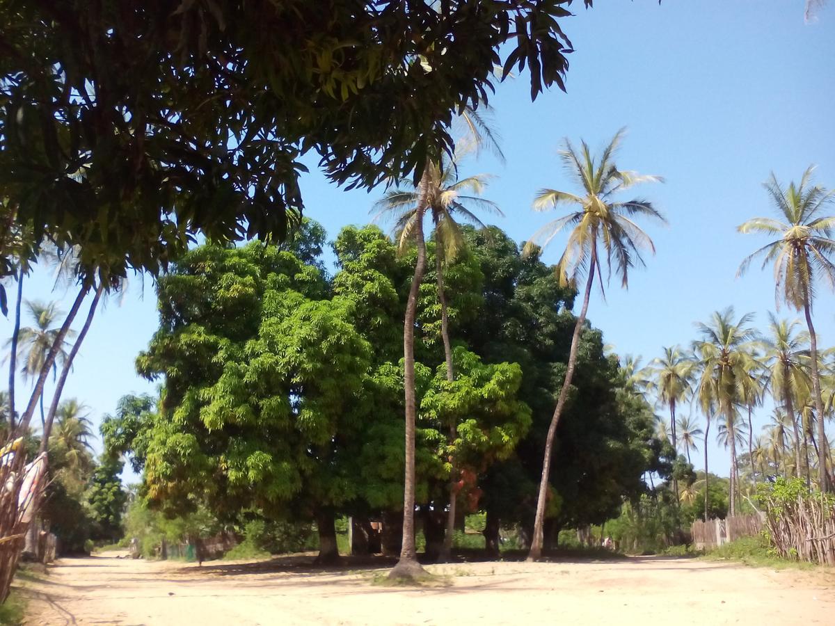 Гостевой дом Centre Touristique Et Culturel Casamance Diakene Ouolof Экстерьер фото