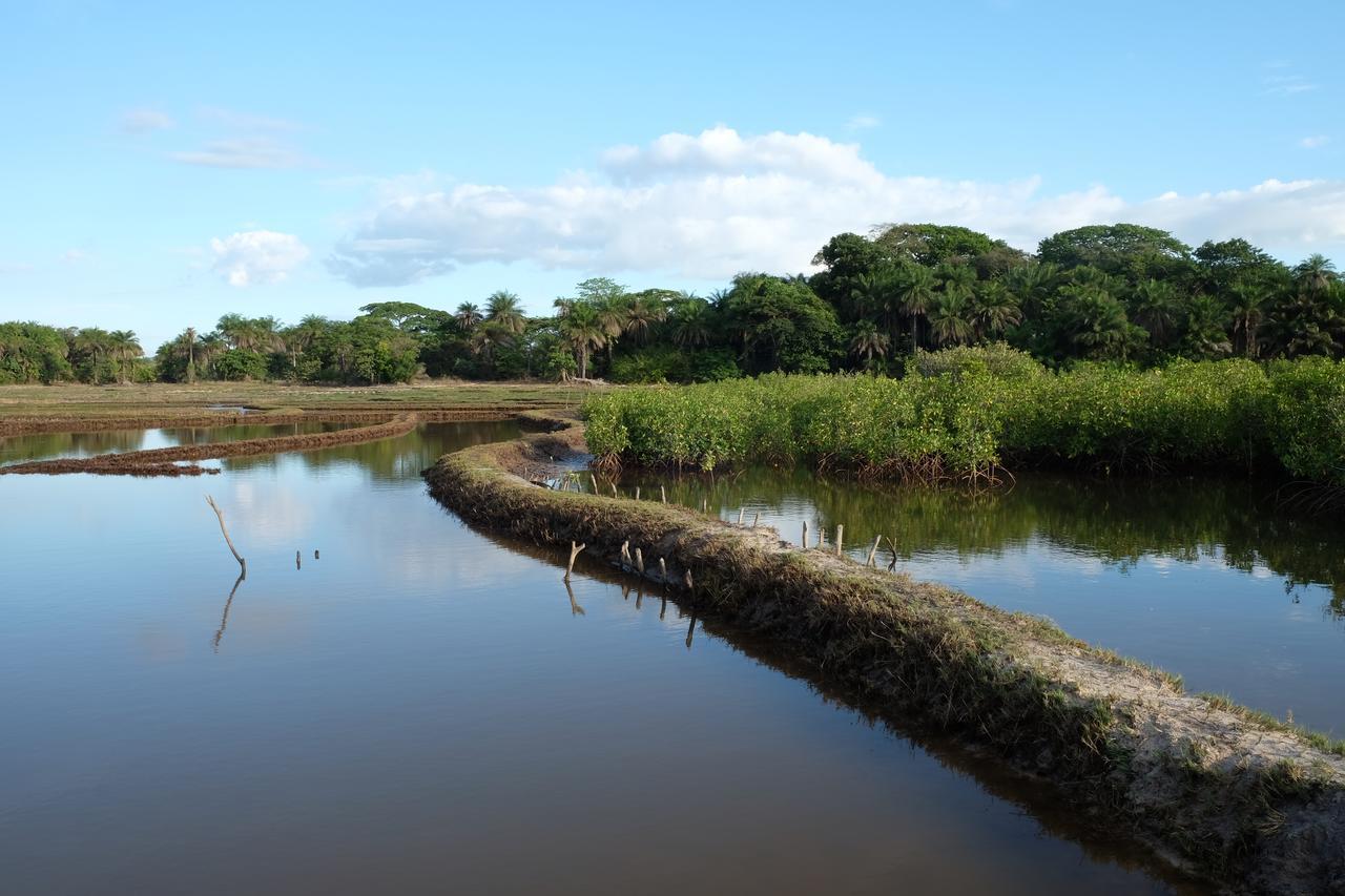 Гостевой дом Centre Touristique Et Culturel Casamance Diakene Ouolof Экстерьер фото