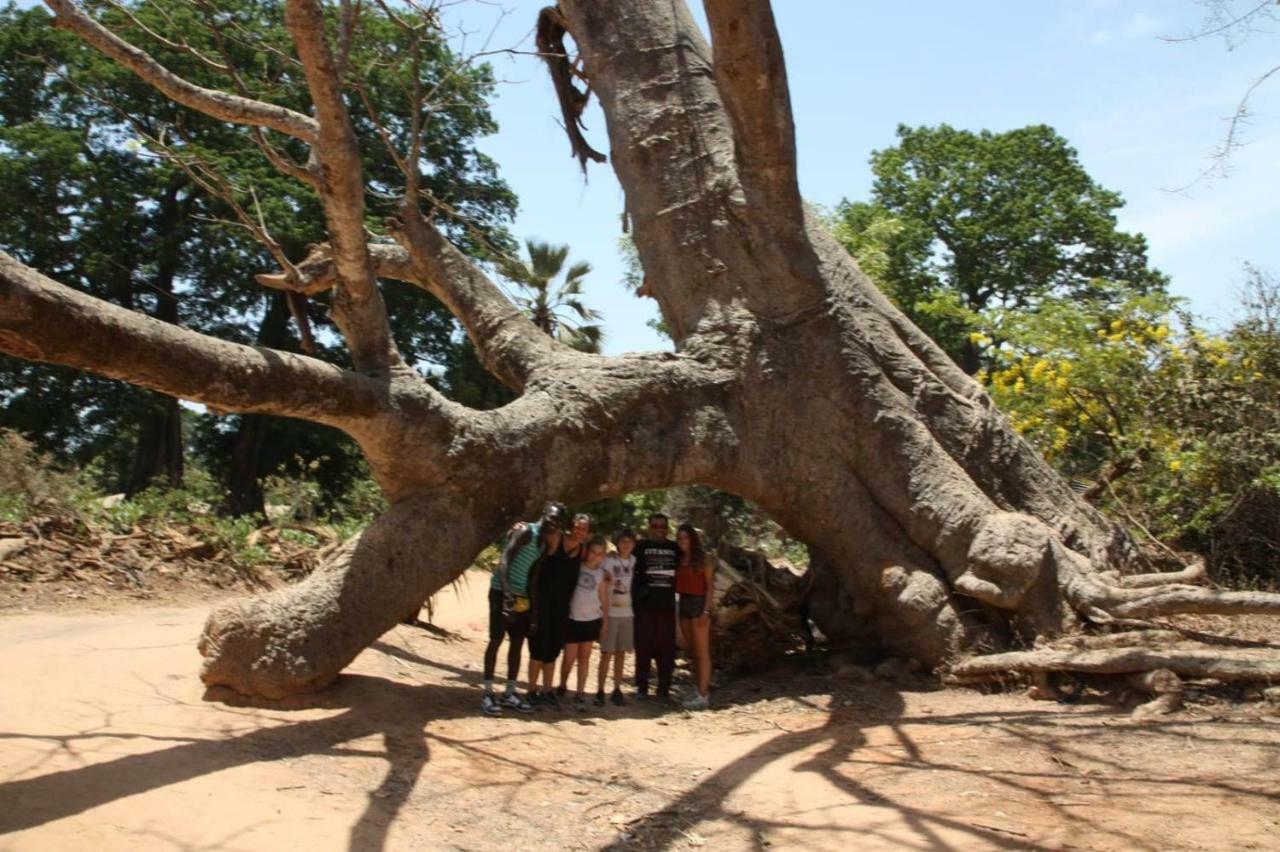 Гостевой дом Centre Touristique Et Culturel Casamance Diakene Ouolof Экстерьер фото
