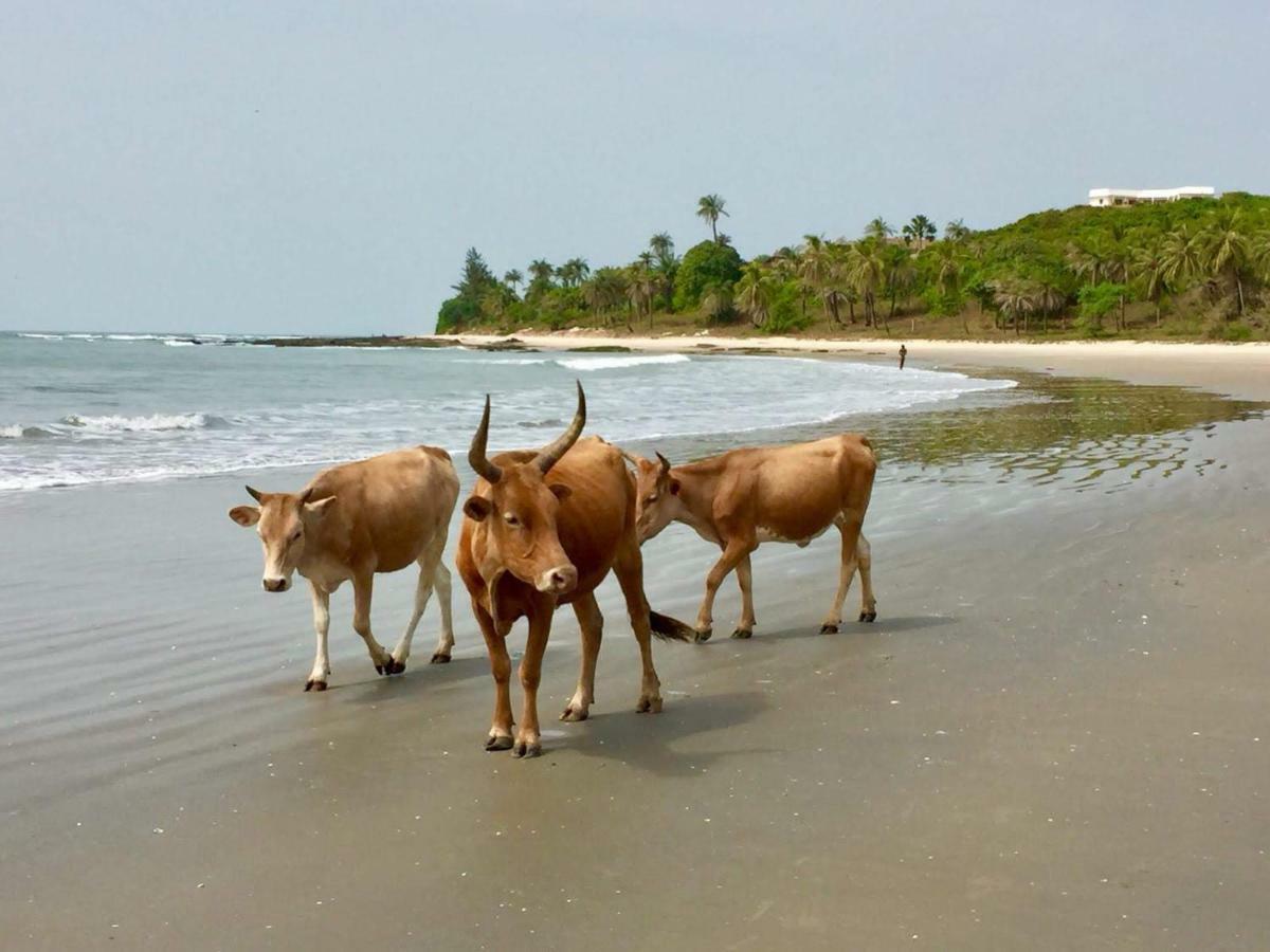 Гостевой дом Centre Touristique Et Culturel Casamance Diakene Ouolof Экстерьер фото