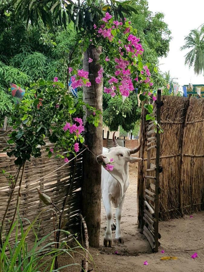 Гостевой дом Centre Touristique Et Culturel Casamance Diakene Ouolof Экстерьер фото