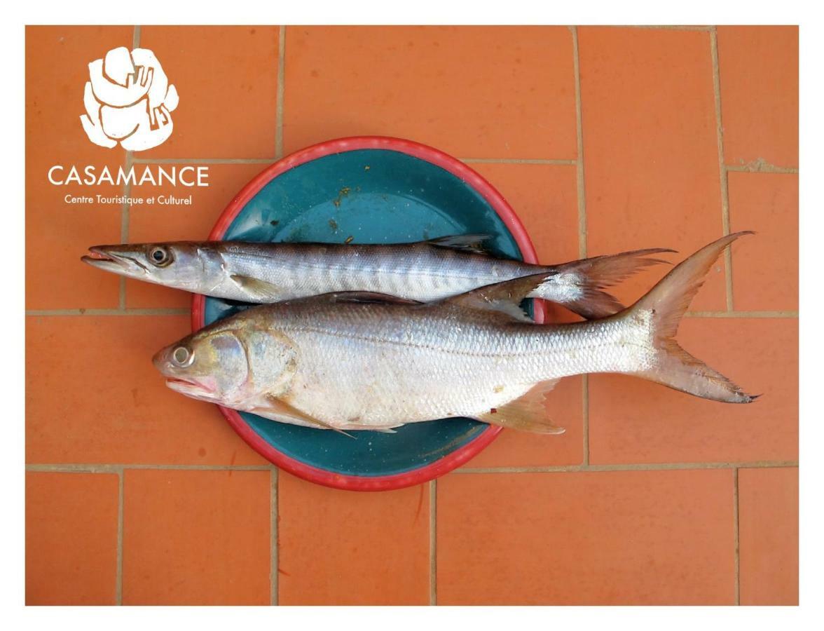 Гостевой дом Centre Touristique Et Culturel Casamance Diakene Ouolof Экстерьер фото